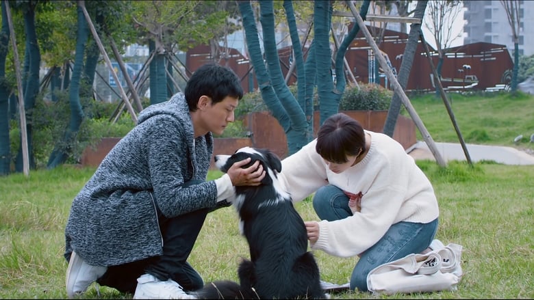 кадр из фильма 犬爱