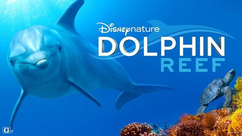 кадр из фильма Дельфиний риф