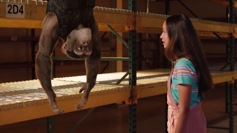 кадр из фильма Шимпанзе под прикрытием