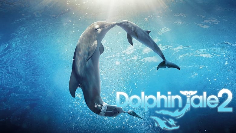 кадр из фильма История дельфина 2