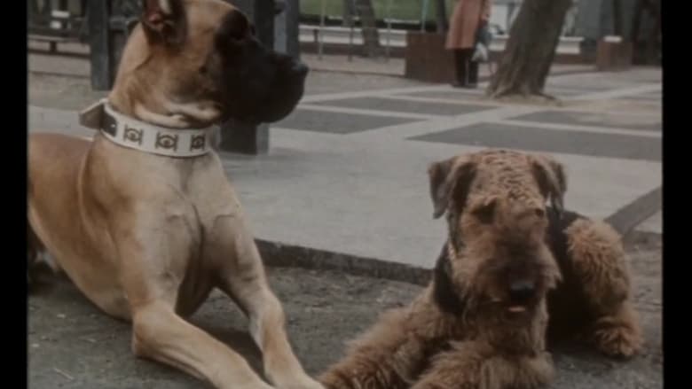 кадр из фильма Щен из созвездия «Гончих псов»