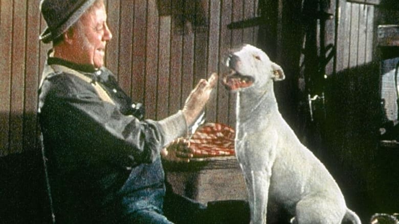 кадр из фильма Жизнь собачья