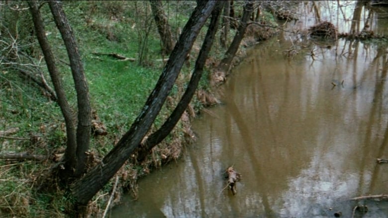 кадр из фильма The Legend of Boggy Creek