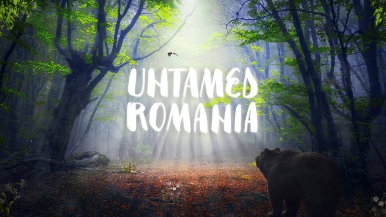 кадр из фильма România neîmblânzită