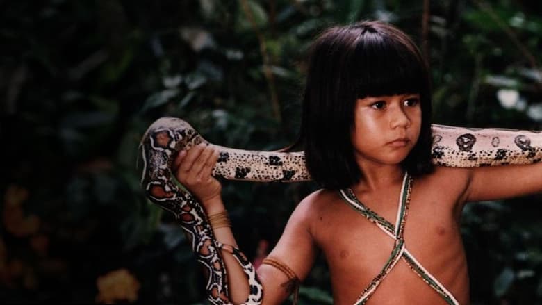 кадр из фильма Tainá: Uma Aventura na Amazônia