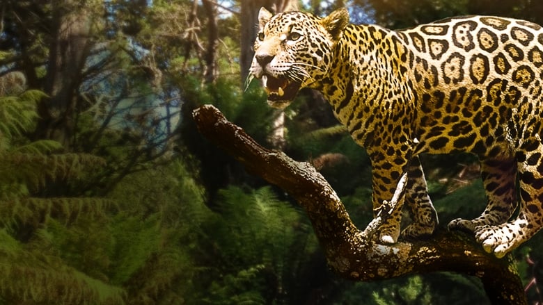 кадр из фильма Jungle Cat