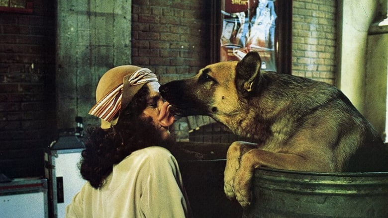 кадр из фильма Won Ton Ton: The Dog Who Saved Hollywood