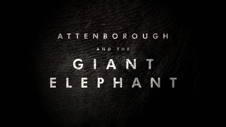 кадр из фильма Attenborough and the Giant Elephant