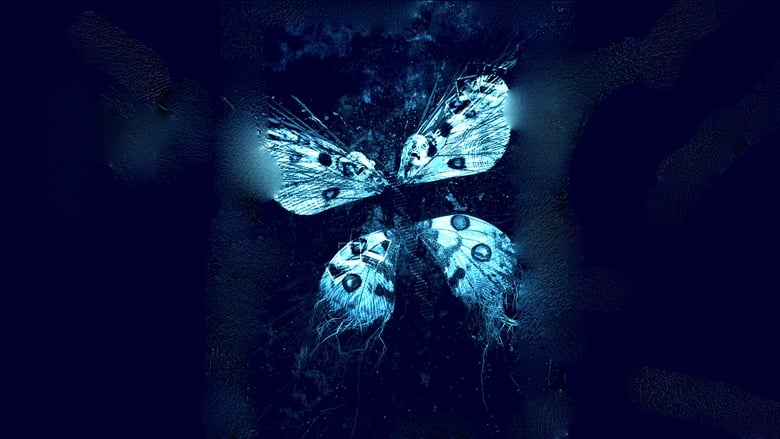 кадр из фильма Эффект бабочки 3: Откровения
