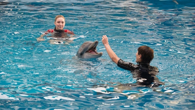 кадр из фильма История дельфина 2