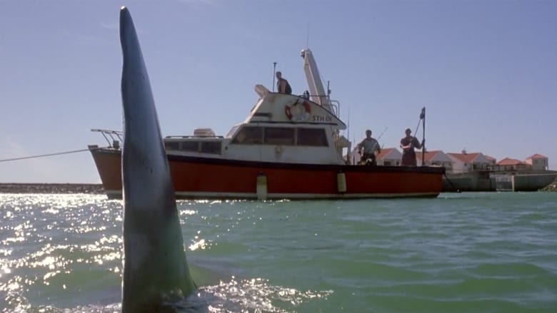кадр из фильма Shark Attack 2
