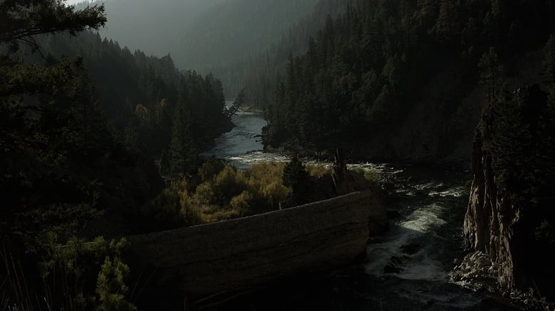 кадр из фильма River of Fundament