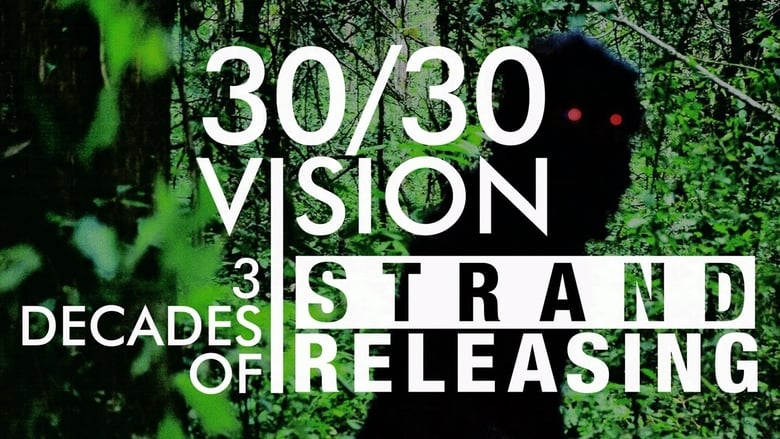 кадр из фильма 30/30 Vision: Three Decades of Strand Releasing