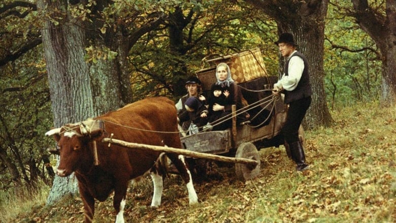 кадр из фильма Поселенцы