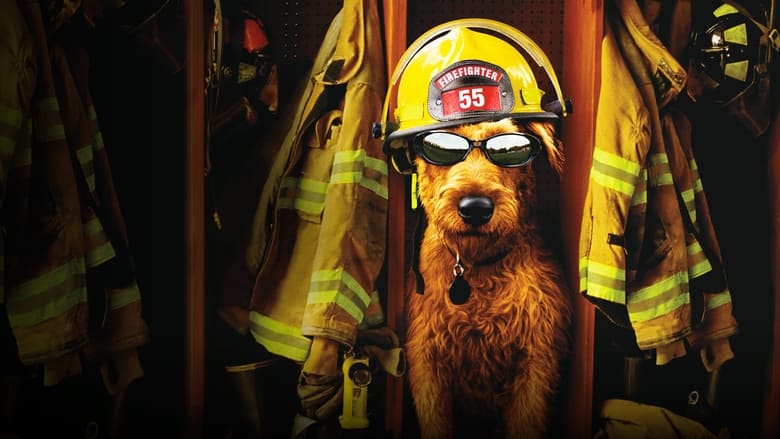 кадр из фильма Пожарный пёс