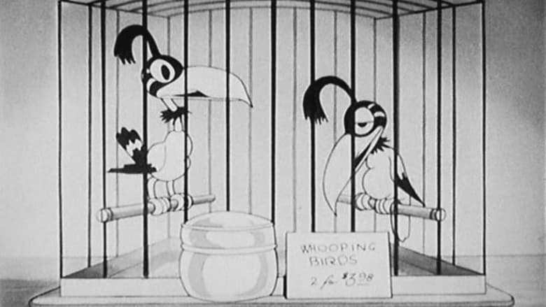 кадр из фильма The Bird Store