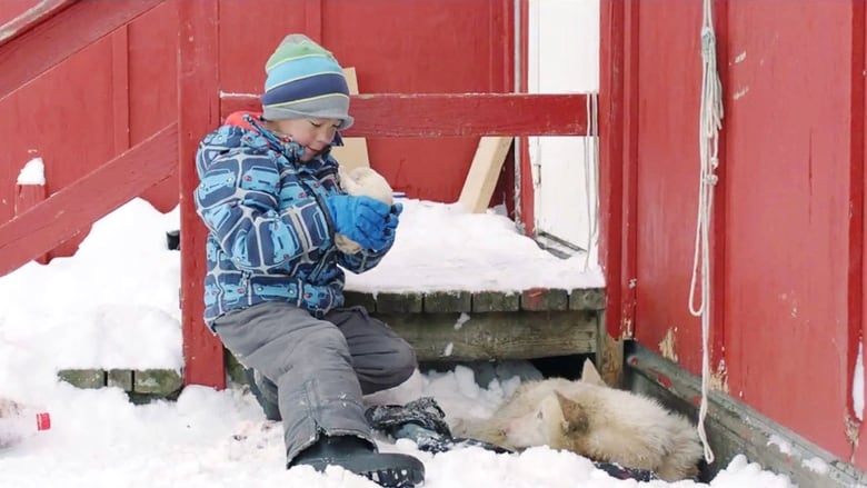 кадр из фильма Год в Гренландии