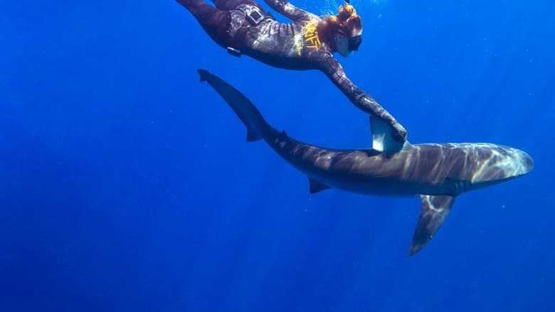 кадр из фильма Maui Shark Mystery