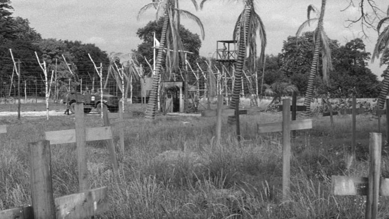 кадр из фильма The Camp on Blood Island