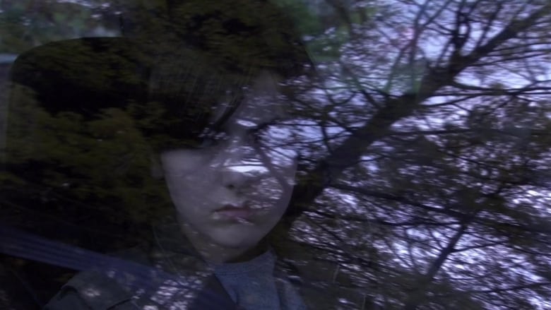 кадр из фильма Душа тишины
