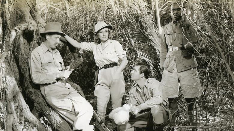 кадр из фильма Zanzibar