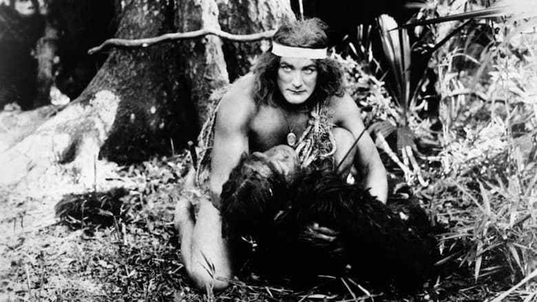 кадр из фильма Tarzan of the Apes