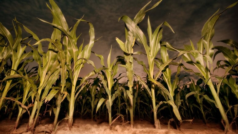 кадр из фильма Дети кукурузы: Апокалипсис