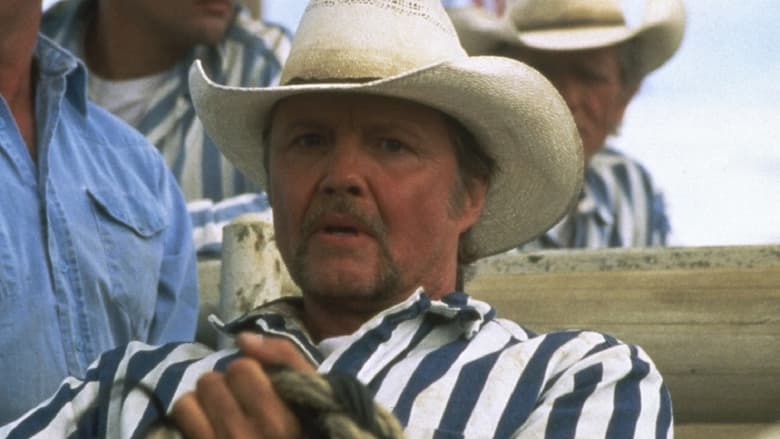 кадр из фильма Convict Cowboy