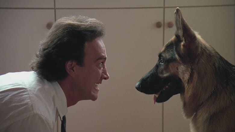 кадр из фильма К-9: Собачья работа