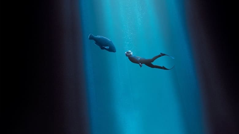 кадр из фильма Друг в океане