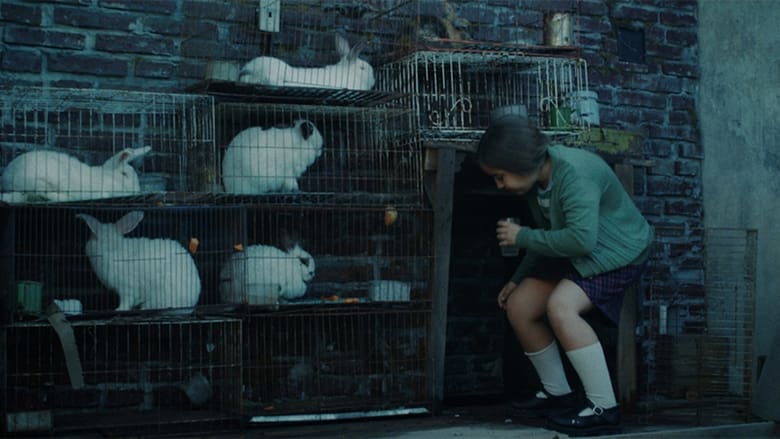 кадр из фильма La casa de los conejos