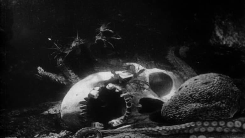 кадр из фильма La pieuvre
