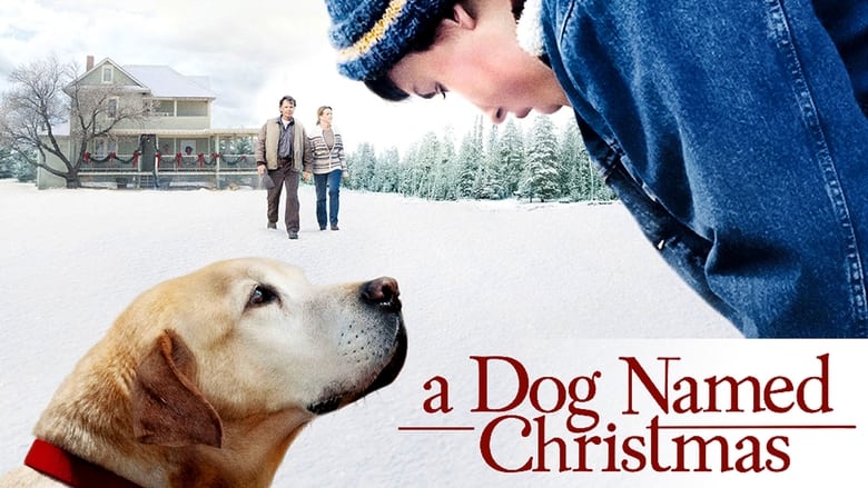 кадр из фильма A Dog Named Christmas