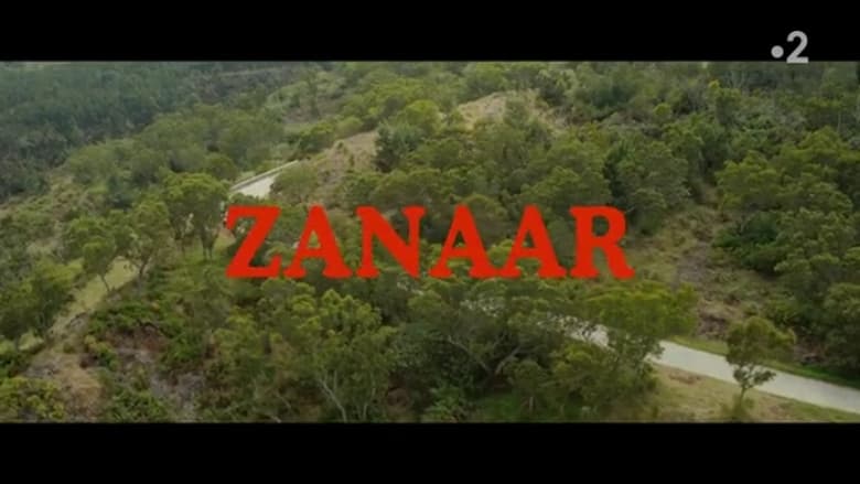 кадр из фильма Zanaar