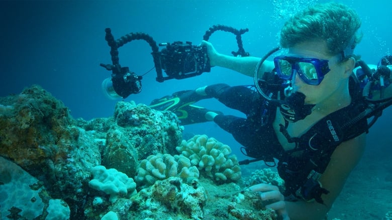кадр из фильма Sea of Hope: America's Underwater Treasures