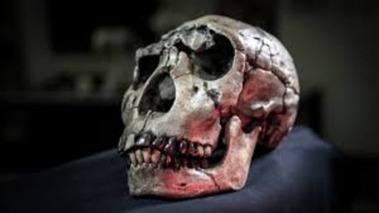 Atapuerca: El Misterio De La Evolucion Humana