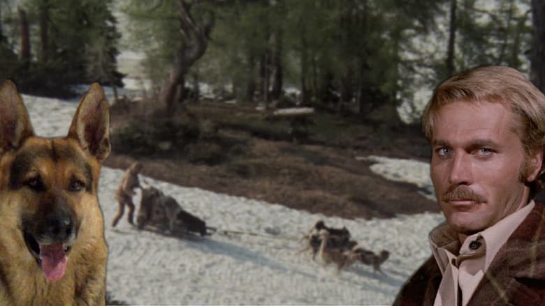 кадр из фильма Белый Клык