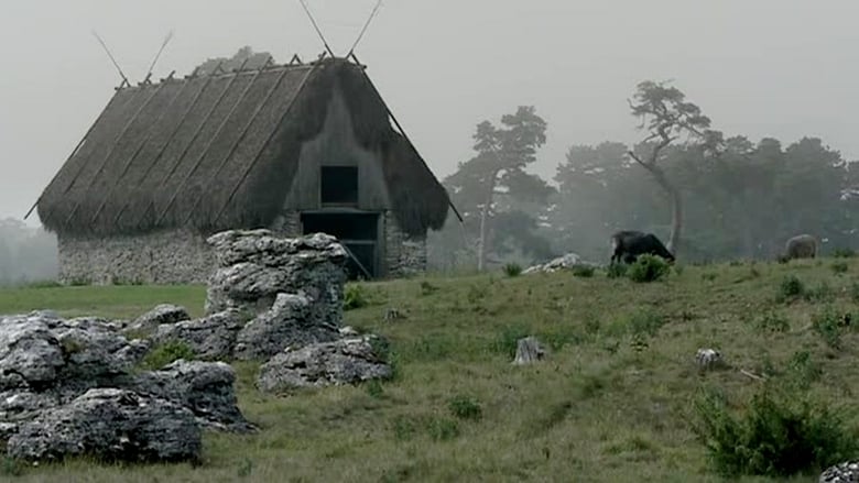 кадр из фильма Bergman Island