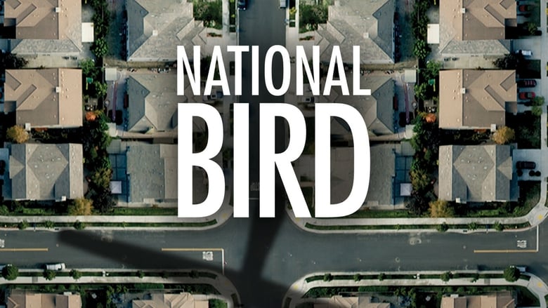 кадр из фильма National Bird