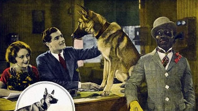 кадр из фильма The Outlaw Dog