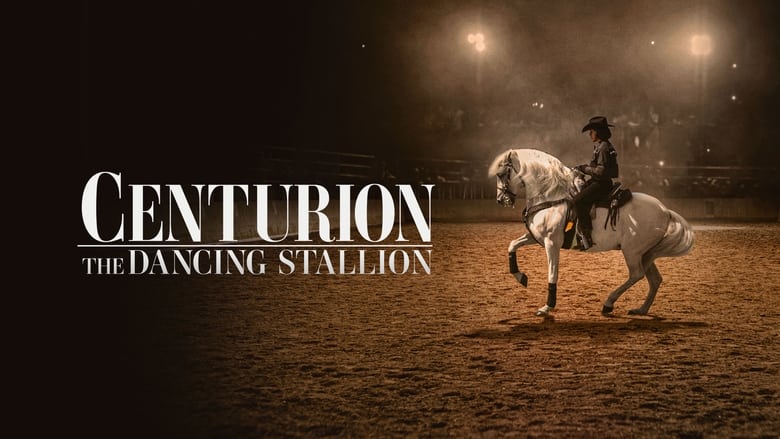 кадр из фильма Centurion: The Dancing Stallion
