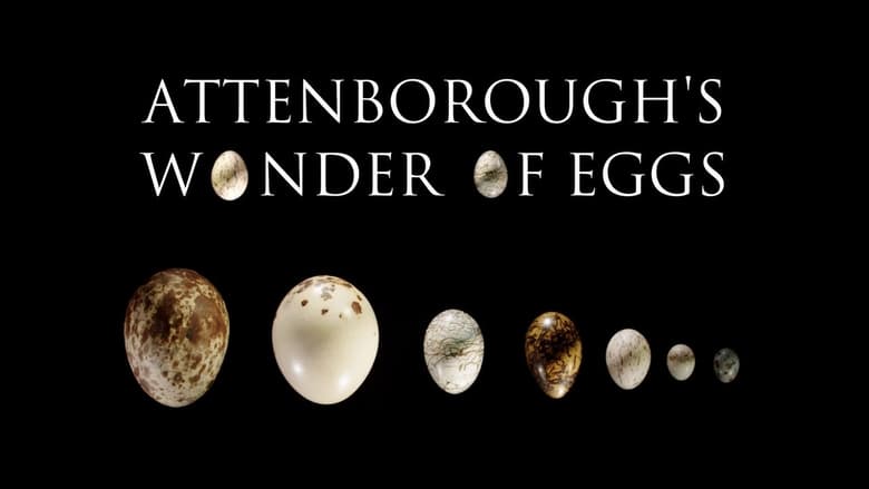 кадр из фильма Чудо-яйца с Дэвидом Эттенборо