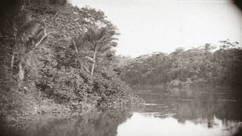 Amazonas, Maior Rio do Mundo