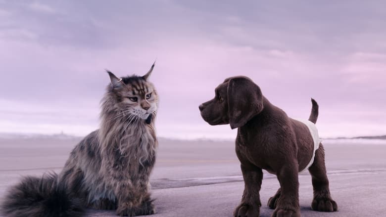 кадр из фильма Кот и пёс
