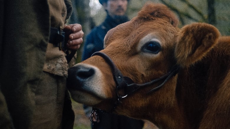 кадр из фильма Первая корова