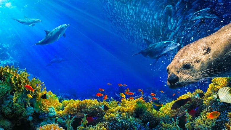 кадр из фильма Океаны: Наша голубая планета