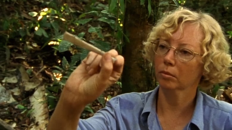кадр из фильма Julianes Sturz in den Dschungel