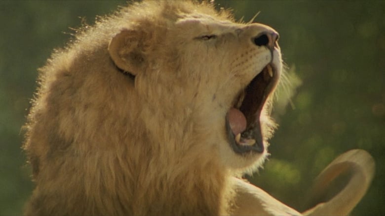 кадр из фильма Roar