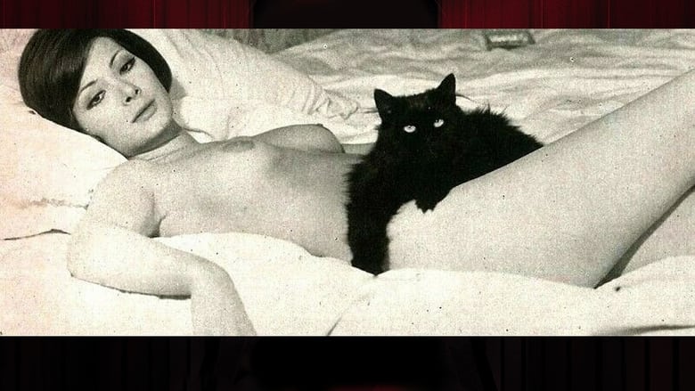 кадр из фильма Глаз чёрного кота