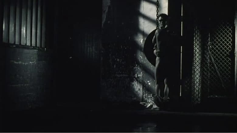 кадр из фильма Nuit docile